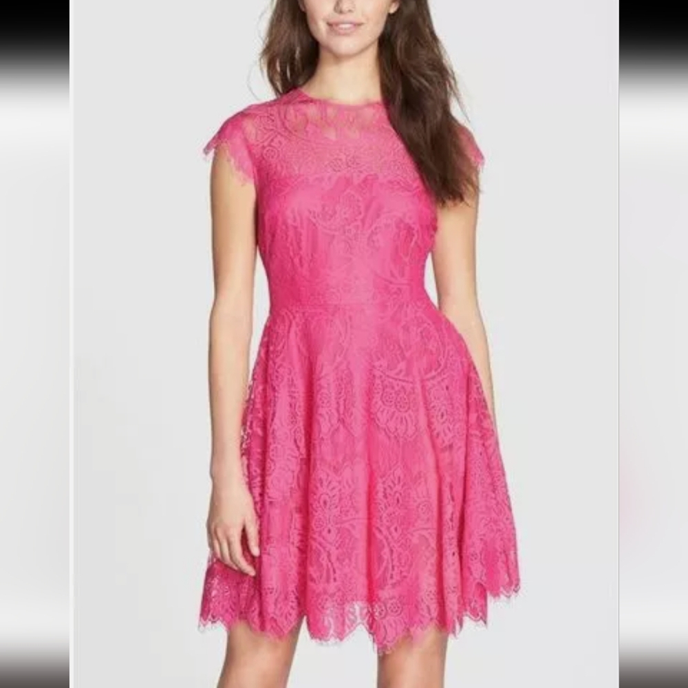 BB DAKOTA Rhianna Illusion Yoke Lace Dress 🆕